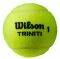  WILSON TRINITI TENNIS 3-BALL SLEEVE