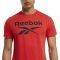  REEBOK GRAPHIC SERIES REEBOK STACKED TEE  (XXXL)