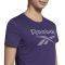  REEBOK WORKOUT READY SUPREMIUM BIG LOGO T-SHIRT  (M)