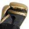 EVERLAST PRO STYLE ELITE GLOVES [P00002350]  (10 OZ)