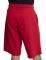  RUSSELL ATHLETIC BADGED COLLEGIATE RAW EDGE  (S)