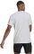 ΜΠΛΟΥΖΑ ADIDAS PERFORMANCE TENNIS GRAPHIC LOGO TEE ΛΕΥΚΗ (XL) ΜΠΛΟΥΖΑ ADIDAS PERFORMANCE TENNIS GRAPHIC LOGO TEE ΛΕΥΚΗ (XL)