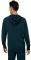  ASICS BIG LOGO FZ HOODIE   (L)
