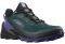  SALOMON CROSS OVER GTX  / (UK:7, EU:40 2/3)