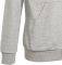 ΖΑΚΕΤΑ ADIDAS PERFORMANCE ESSENTIALS HOODIE ΓΚΡΙ (128 CM) ΖΑΚΕΤΑ ADIDAS PERFORMANCE ESSENTIALS HOODIE ΓΚΡΙ (128 CM)