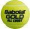  BABOLAT GOLD ALL COURT X4 