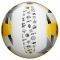  VOLLEY WILSON AVP CITY REPLICA MANHATTAN /