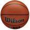  WILSON NBA DRV PRO  (6)