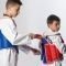  TAEKWONDO OLYMPUS    VELCRO / (L)
