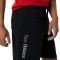  NEW BALANCE ESSENTIALS CELEBRATE SHORTS  (M)