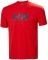  HELLY HANSEN SKOG RECYCLED GRAPHIC T-SHIRT  (M)