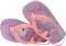  HAVAIANAS BABY PEPPA PIG  (21)