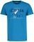  ICEPEAK BRIARCLIFF 