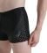  SPEEDO MEDLEY LOGO AQUASHORT  (38)