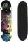 SKATEBOARD FISH WOLF 31