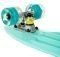 SKATEBOARD FISH MINI CRUISER  LED  22.5\