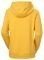  HELLY HANSEN HH LOGO HOODIE  (M)