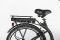    ORIENT CARGO E-BIKE (7SP)