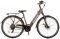   ORIENT STYLE E-BIKE 700  (...