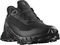  SALOMON ALPHACROSS 5 GTX  (UK:7.5, EU:41 1/3)