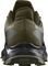 ΠΑΠΟΥΤΣΙ SALOMON ALPHACROSS 5 GTX ΛΑΔΙ (UK:7.5, EU:41 1/3)