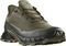 ΠΑΠΟΥΤΣΙ SALOMON ALPHACROSS 5 GTX ΛΑΔΙ (UK:7.5, EU:41 1/3)