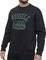 ΜΠΛΟΥΖΑ RUSSELL ATHLETIC STATE CREWNECK SWEATSHIRT ΜΑΥΡΗ (M) ΜΠΛΟΥΖΑ RUSSELL ATHLETIC STATE CREWNECK SWEATSHIRT ΜΑΥΡΗ (M)