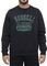  RUSSELL ATHLETIC STATE CREWNECK SWEATSHIRT  (L)