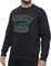  RUSSELL ATHLETIC STATE CREWNECK SWEATSHIRT  (L)