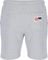  RUSSELL ATHLETIC ADDINSON SHORTS  (L)