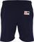  RUSSELL ATHLETIC ADDINSON SHORTS   (L)