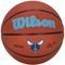  WILSON NBA TEAM ALLIANCE CHARLOTTE HORNETS  (7)