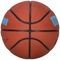  WILSON NBA TEAM ALLIANCE CHARLOTTE HORNETS  (7)