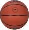  WILSON NBA TEAM ALLIANCE CHARLOTTE HORNETS  (7)