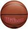  WILSON NBA TEAM ALLIANCE TORONTO RAPTORS  (7)