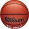  WILSON JR. NBA AUTHENTIC INDOOR/OUTDOOR BASKETBALL  (5)