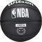 WILSON NBA TEAM TRIBUTE MINI BOSTON CELTICS  (3)