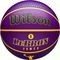  WILSON NBA PLAYER ICON OUTDOOR BASKETBALL LEBRON  (7)