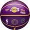 WILSON NBA PLAYER ICON OUTDOOR BASKETBALL LEBRON 6  (7)