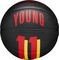  WILSON NBA PLAYER ICON MINI BASKETBALL ...