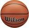  WILSON EVOLUTION GAME BASKETBALL  (7)