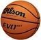  WILSON EVO NXT GAME BASKETBALL  (6)