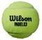  PADEL WILSON X3 SPEED BALLS  (3 )