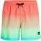 ����� ����� O'NEILL JACK'S CALI GRADIENT 15