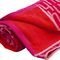  HAVAIANAS LOGO TOWEL 