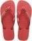 ��������� HAVAIANAS BRASIL LOGO ������� (BR:3...