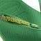 ��������� HAVAIANAS BRASIL LOGO NEON ������� (BR:39/40,EUR:41/42)