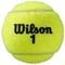  WILSON ROLAND GARROS ALL COURT 4 BALL 