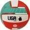 ����� VOLLEY LIGA SPORT PYTHON �����/�������/...