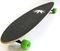 SKATEBOARD FISH REGGAE-CA PIN-TAIL LONGBOARD 46\